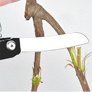 אולר מזמרה רב תכליתי כלי גינון מקצועי לגיזום - 5 ב-1 – תמונה 6