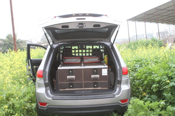 resized_גרנד צירוקי (11)